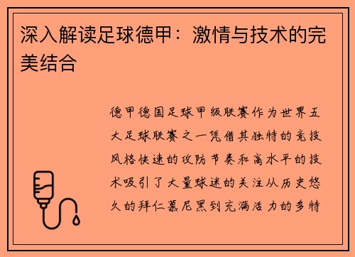 深入解读足球德甲：激情与技术的完美结合