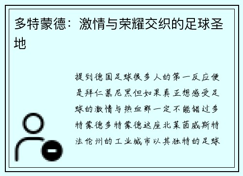 多特蒙德：激情与荣耀交织的足球圣地